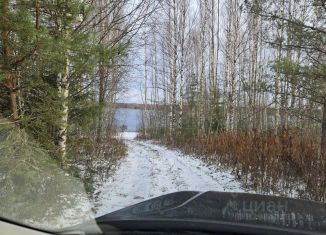 Продажа земельного участка, 290 сот., Новгородская область