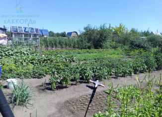 Продам дачу, 20 м2, СНТ Флора, Главная улица