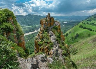 Участок на продажу, 15 сот., Алтайский край, улица Пучина, 1А