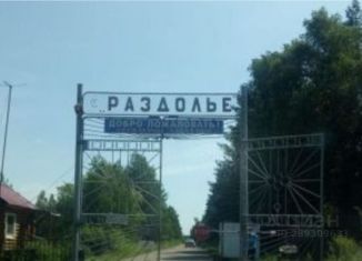 Продам земельный участок, 10 сот., СНТ Раздолье