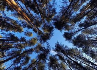 Продажа участка, 15 сот., Рязанская область