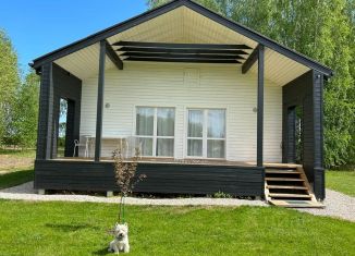Дом в аренду, 90 м2, Новгородская область, деревня Моисеевичи, 38
