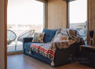 Аренда дома, 40 м2, Тамбовская область, СНТ Пригородное, 1