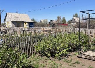 Продаю дачу, 20 м2, Новосибирская область