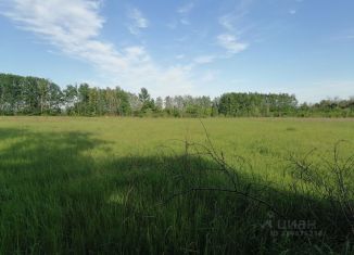 Продажа земельного участка, 15.2 сот., село Чудовка, Озёрная улица