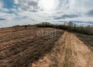 Продам участок, 15.1 сот., село Борки
