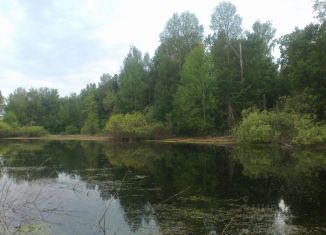 Земельный участок на продажу, 4000 сот., Кулебаки, Песочная улица, 14