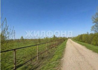 Продажа земельного участка, 6 сот., рабочий посёлок Колывань
