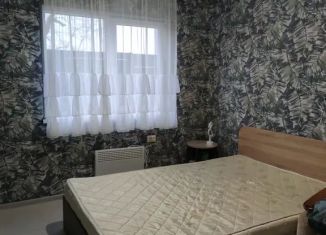 Сдается в аренду дом, 62 м2, СНТ Крит-2