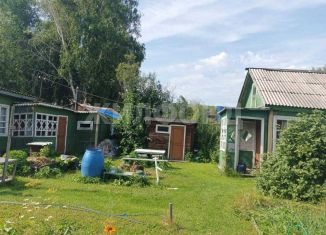 Дача на продажу, 40 м2, Новосибирская область