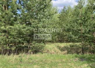 Участок на продажу, 6 сот., село Новоживотинное