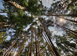 Продается участок, 165 сот., Московская область