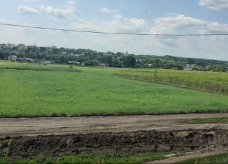 Продается участок, 20 сот., село Звягинки