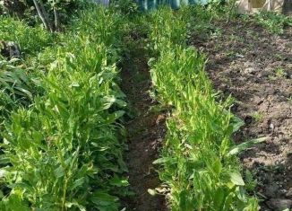 Продам участок, 6.5 сот., Смоленская область, Садовая улица