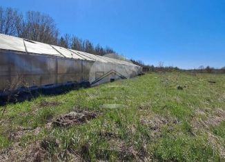 Продам участок, 264.86 сот., Новгородская область