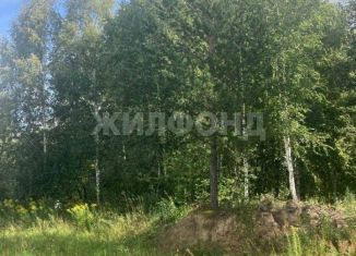 Земельный участок на продажу, 6 сот., Новосибирская область