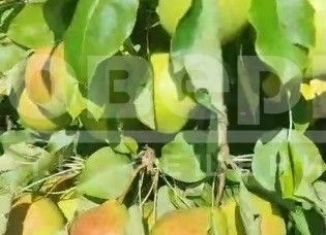 Участок на продажу, 15.6 сот., Омская область