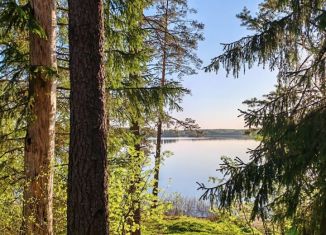 Продажа земельного участка, 900 сот., деревня Гагрино