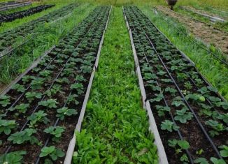 Участок на продажу, 1000 сот., Смоленская область