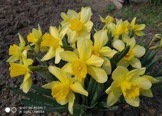 Продается участок, 4 сот., Реж, улица Щукина