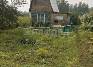 Продажа дачи, 36 м2, Новосибирская область