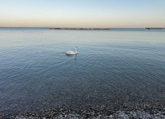 Участок на продажу, 6 сот., село Штормовое