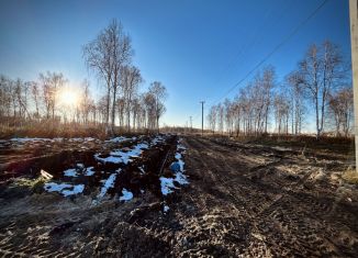 Продам участок, 4 сот., дачный поселок Сибирская Слобода