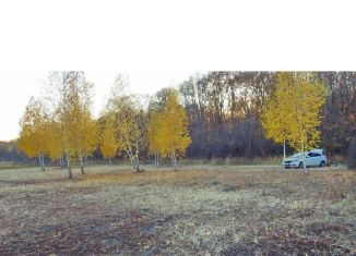 Продается земельный участок, 138 сот., село Севрюкаево, улица Ленина