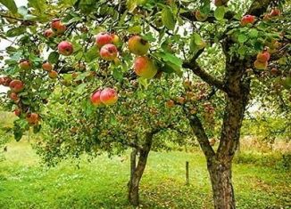 Продажа участка, 6 сот., Алтайский край, Центральная улица, 89