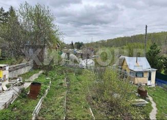 Дача на продажу, 38.4 м2, Новосибирская область