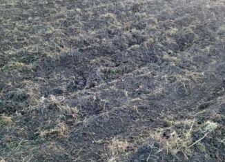 Продам земельный участок, 25 сот., Ставропольский край, улица Шевченко, 2А