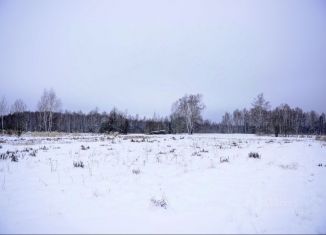 Земельный участок на продажу, 25 сот., деревня Кочубеевка