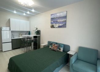 Сдаю в аренду квартиру студию, 26 м2, Ольгинка, 3-й микрорайон, 23