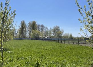 Продаю участок, 36 сот., село Панино