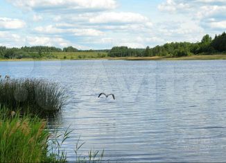 Продается участок, 26 сот., деревня Пенеснарь