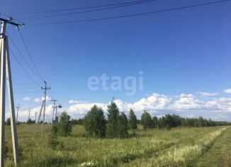 Земельный участок на продажу, 12 сот., село Елыкаево