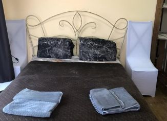 Сдам дом, 30 м2, Воронеж, улица Карла Маркса, 18, Центральный район
