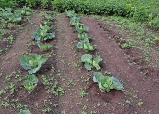 Дом на продажу, 30 м2, Борзя, улица Журавлёва, 5