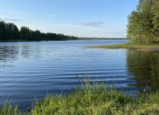 Продается земельный участок, 15 сот., деревня Горнешно