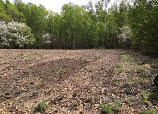 Продам участок, 27 сот., село Ильинка