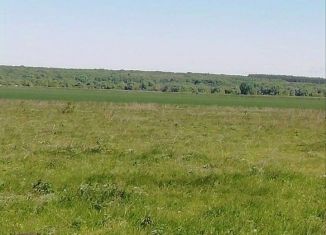 Продам земельный участок, 22 сот., село Роговка, село Роговка, 30