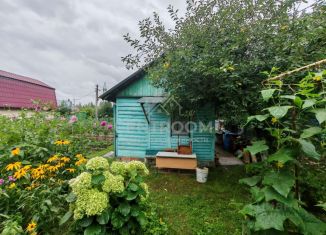 Продажа дачи, 40 м2, Татарстан, СНТ Нокса-2, 97