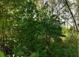 Участок на продажу, 12.75 сот., деревня Щёголево