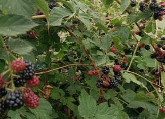 Продам дачу, 68 м2, село Усовка
