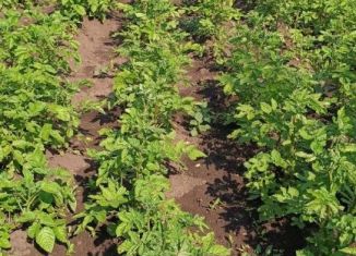 Земельный участок на продажу, 7 сот., Республика Башкортостан, СНТ Девон-2, 229