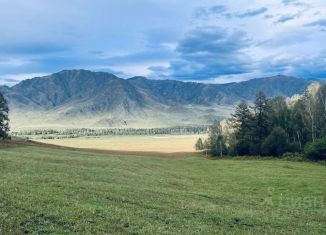 Продам земельный участок, 100 сот., Республика Алтай, улица Ленина