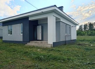 Продам дом, 83 м2, село Бессоновка, Луговая улица, 133А