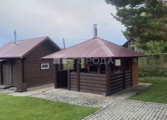 Продажа дома, 95 м2, Алтайский край, Полевая улица, 167
