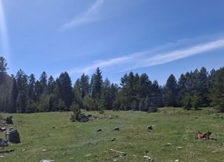 Продается участок, 30 сот., село Турочак
