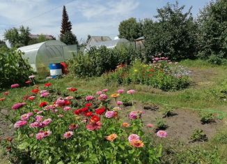 Дача на продажу, 60 м2, Алтайский край, СТ Вагонник-1, 80